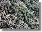 Montserrat_356.jpg