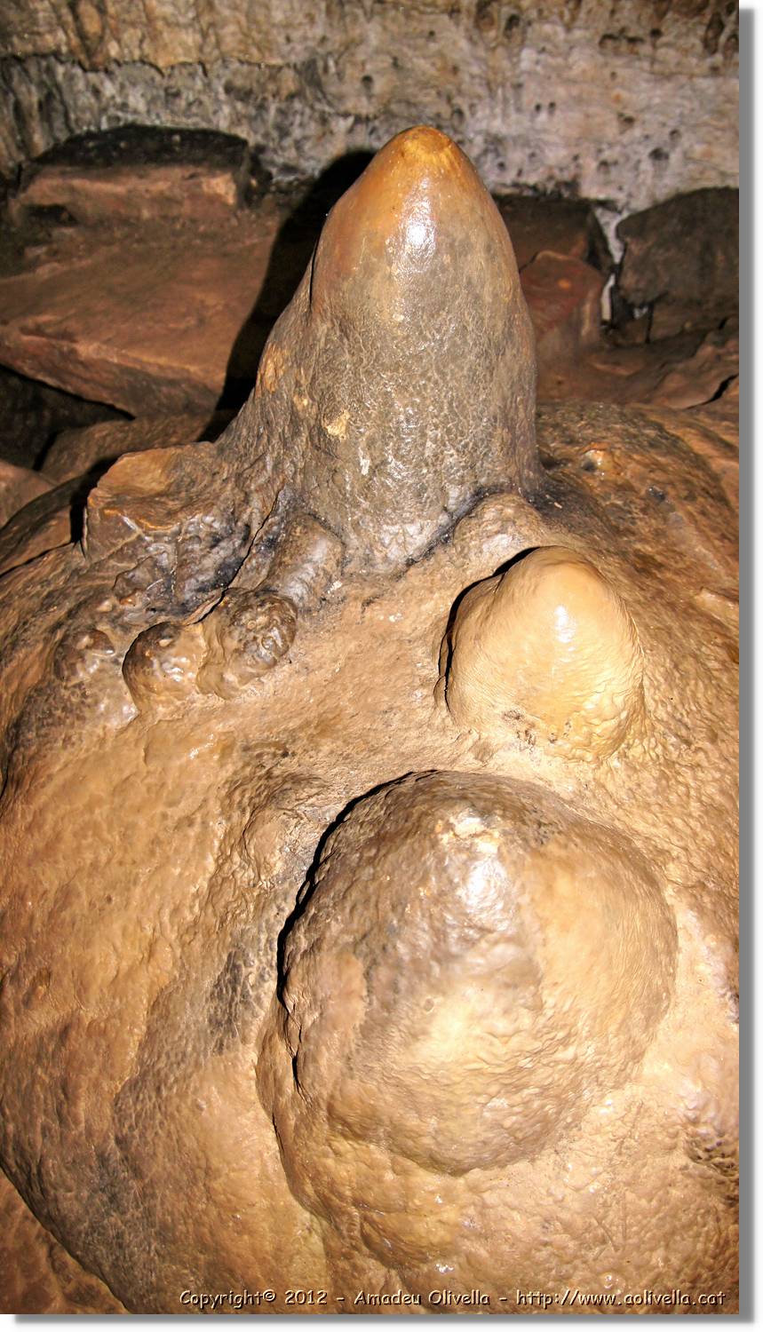 Mussara_052.jpg