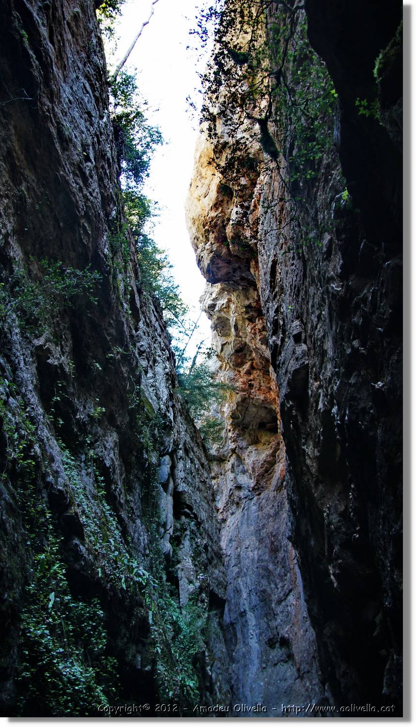 Mussara_071.jpg