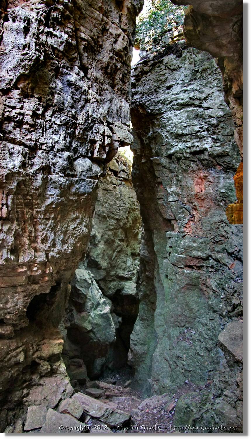 Mussara_092.jpg