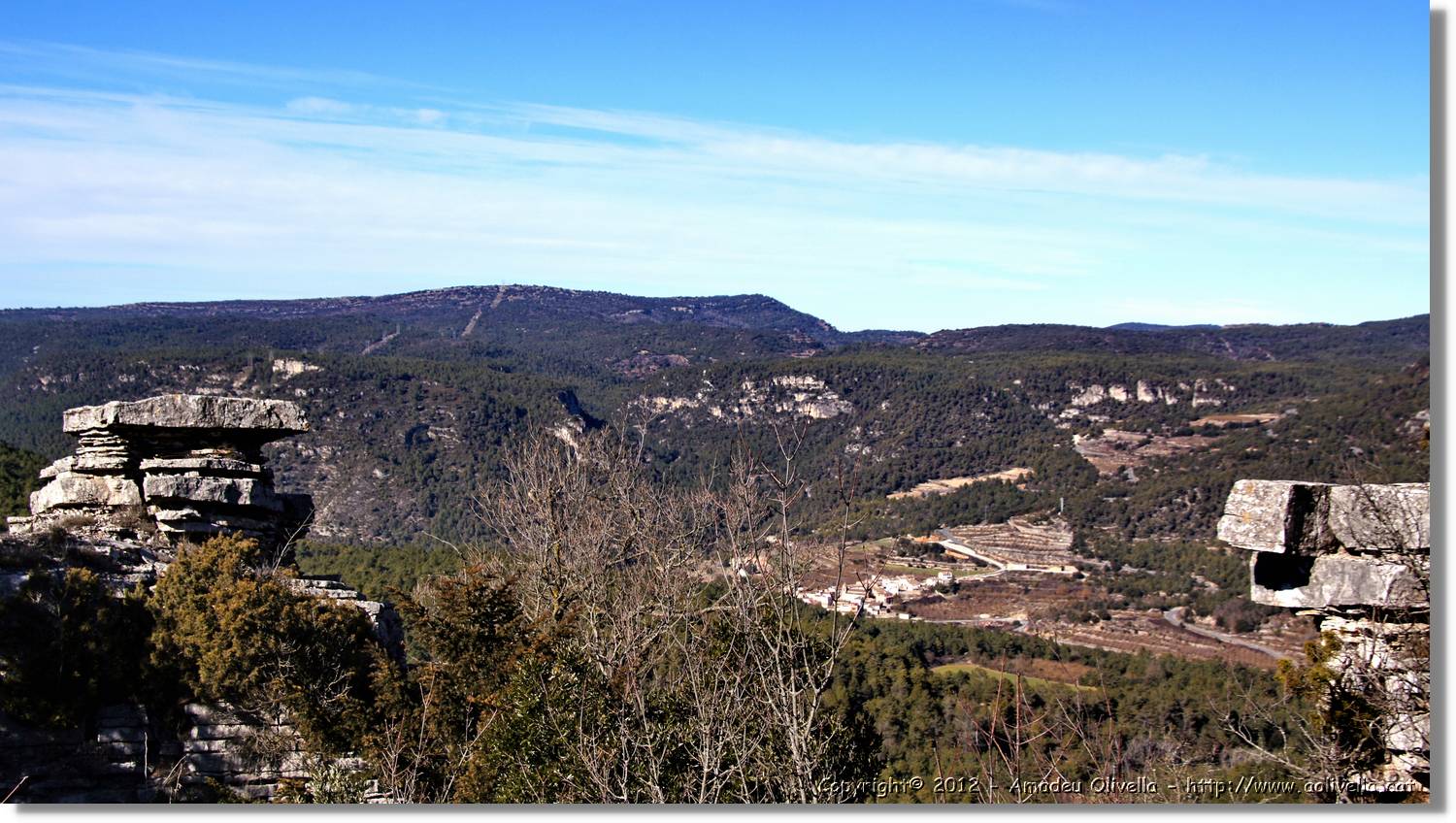 Mussara_111.jpg