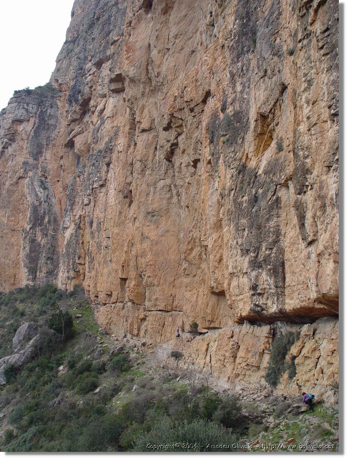 Montroig_48.jpg