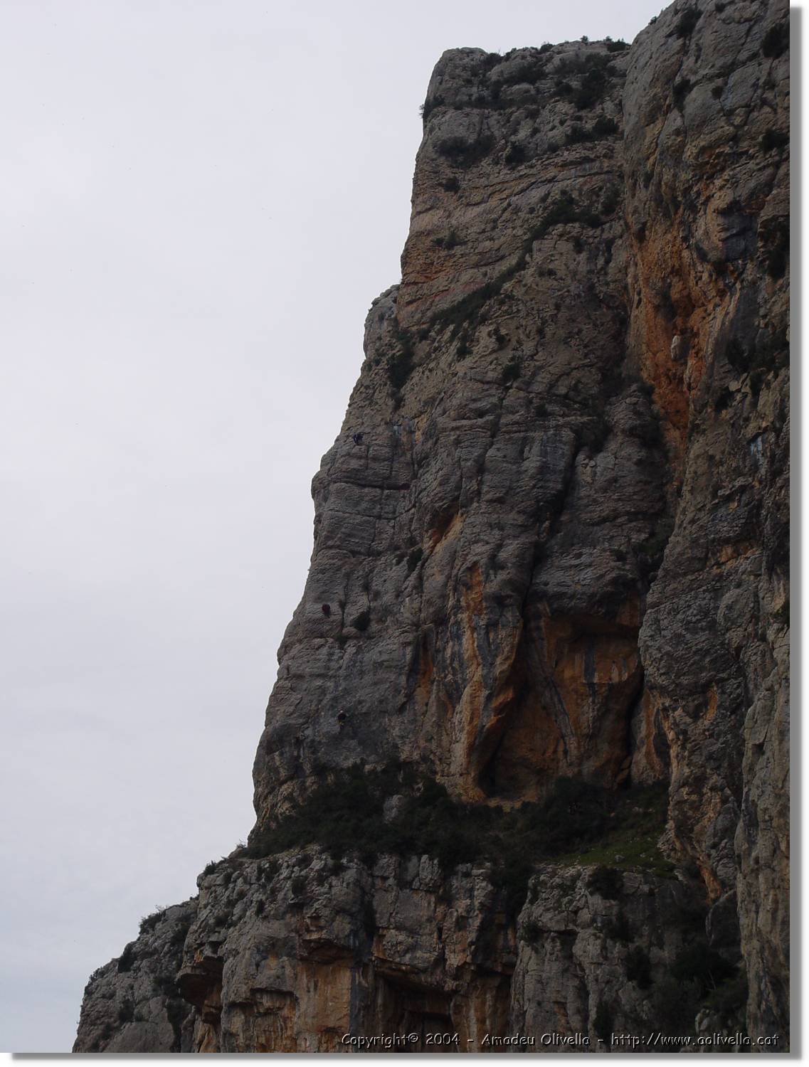 Montroig_55.jpg
