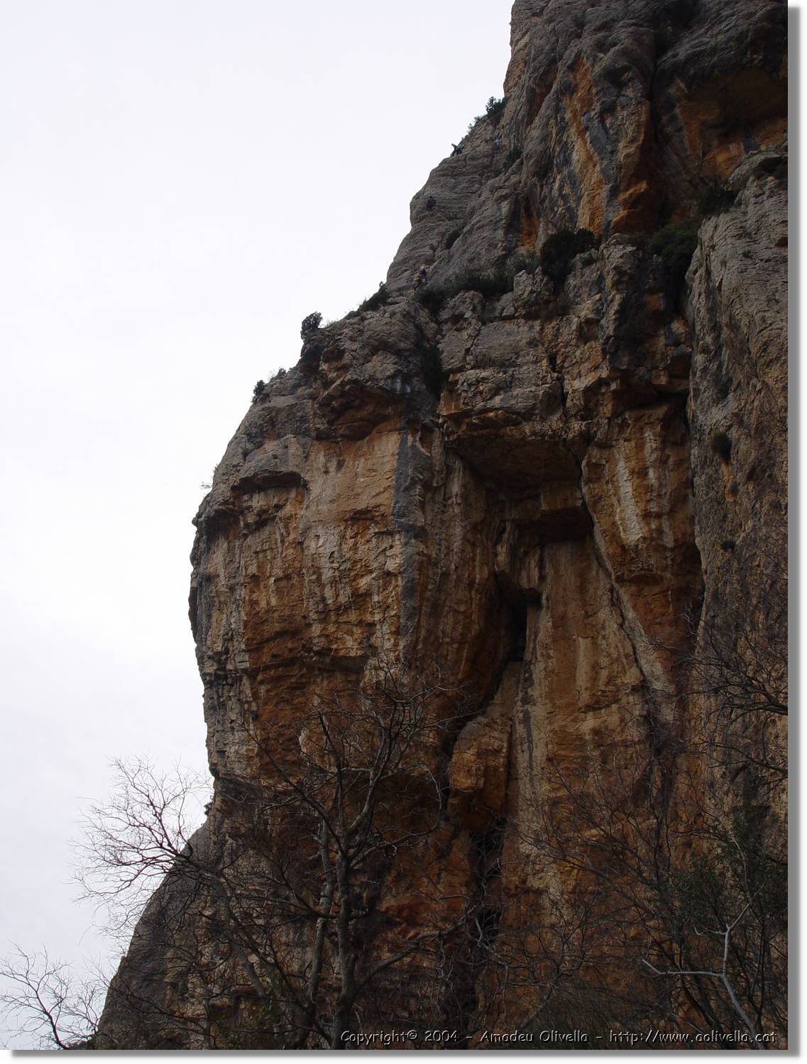 Montroig_57.jpg