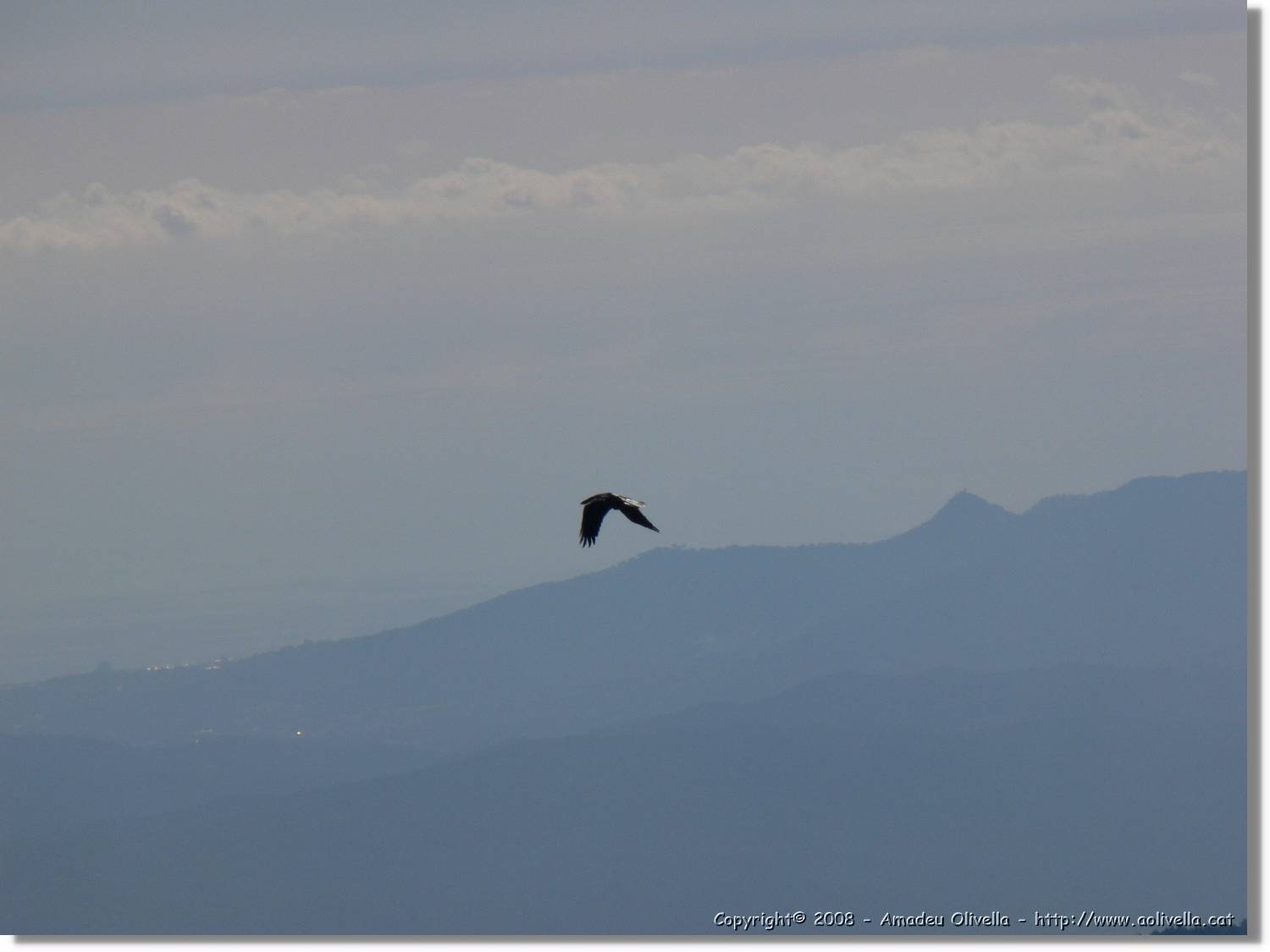 1Montseny_061.jpg