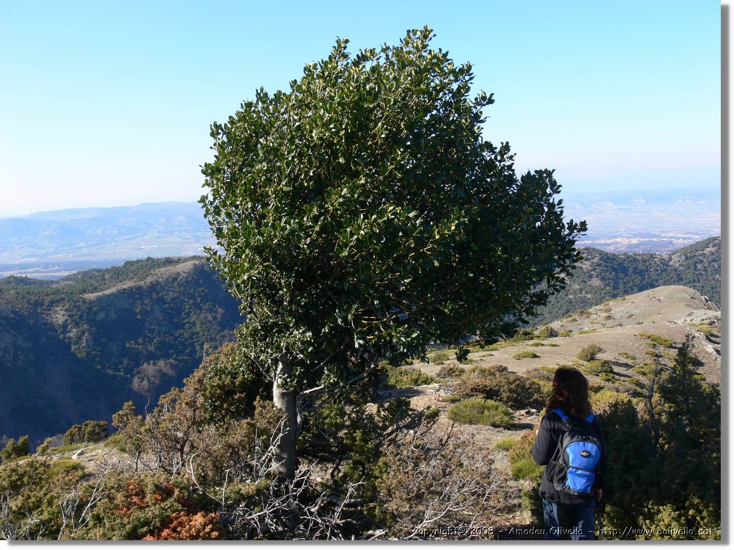 1Montseny_067.jpg
