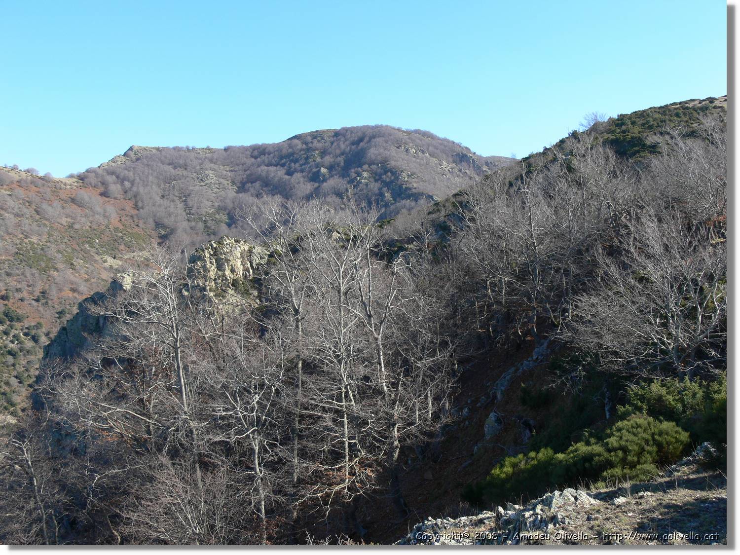 1Montseny_068.jpg