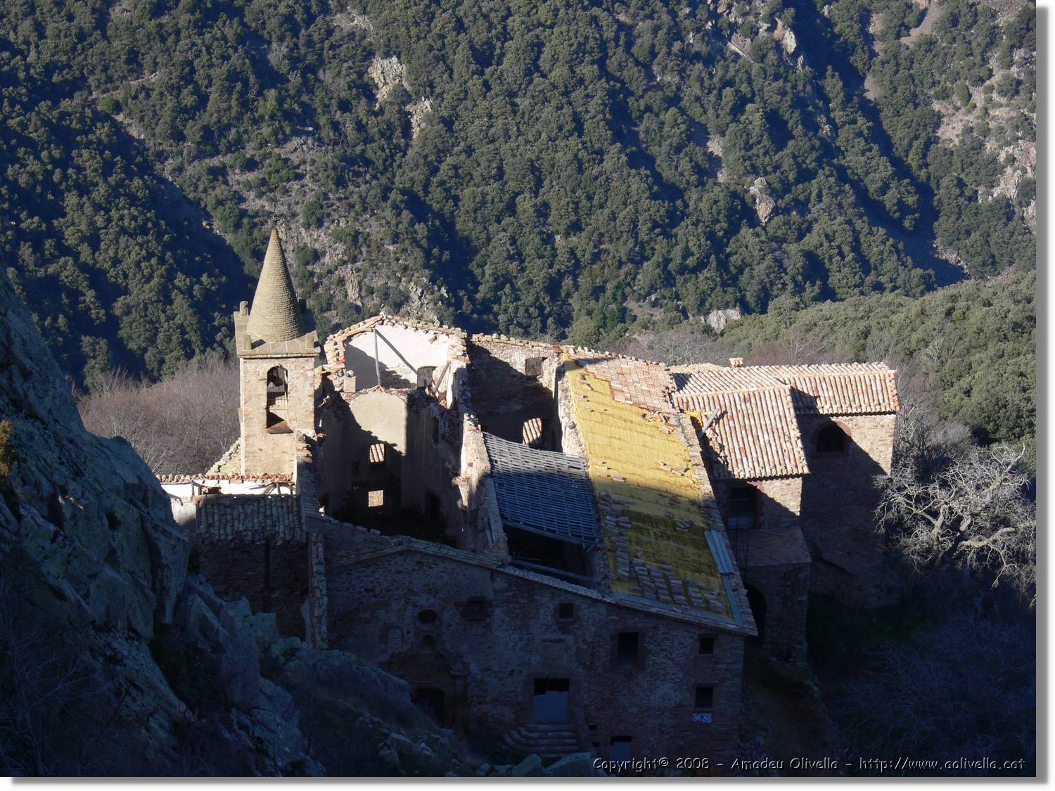 1Montseny_071.jpg