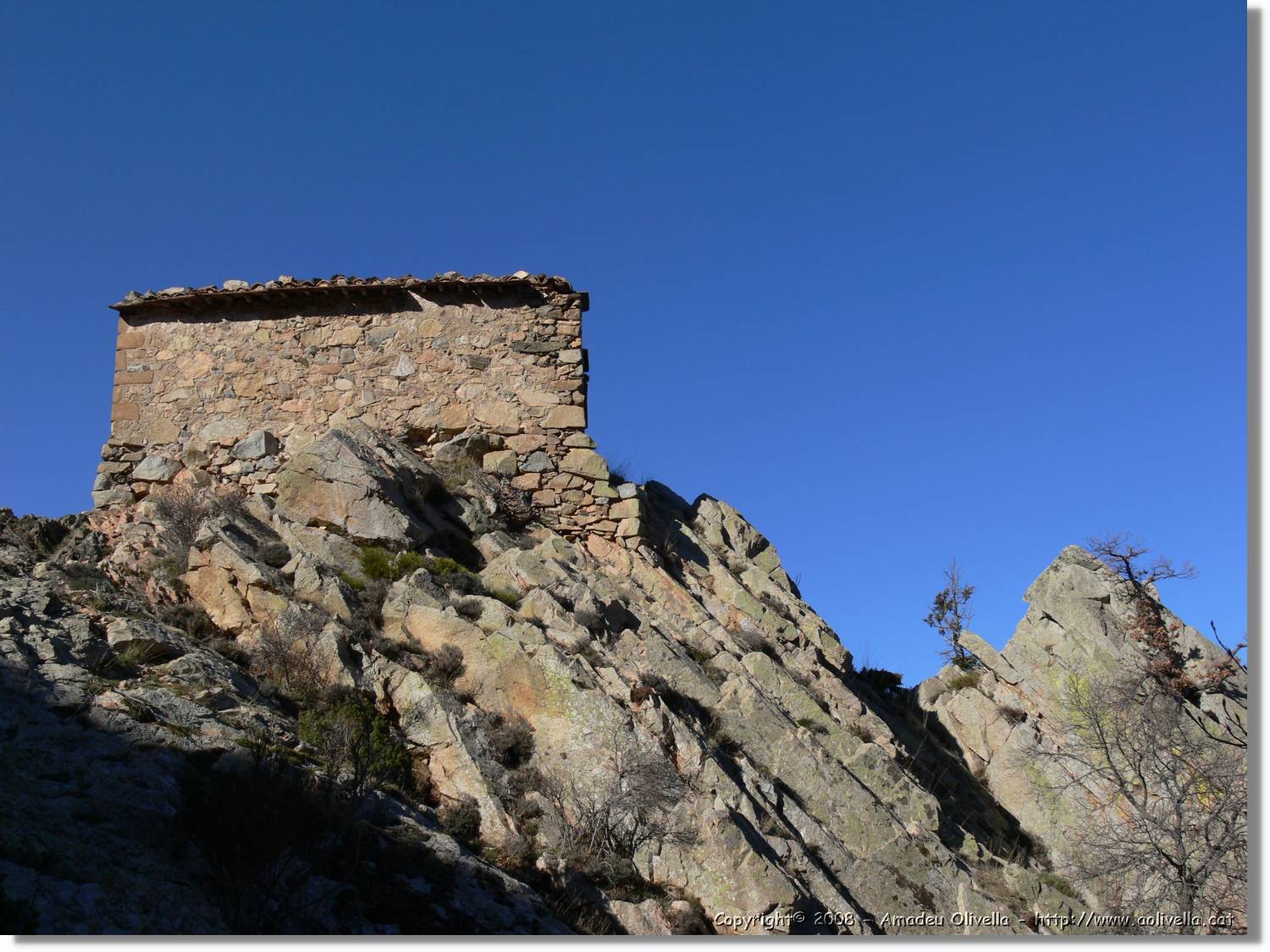 1Montseny_078.jpg