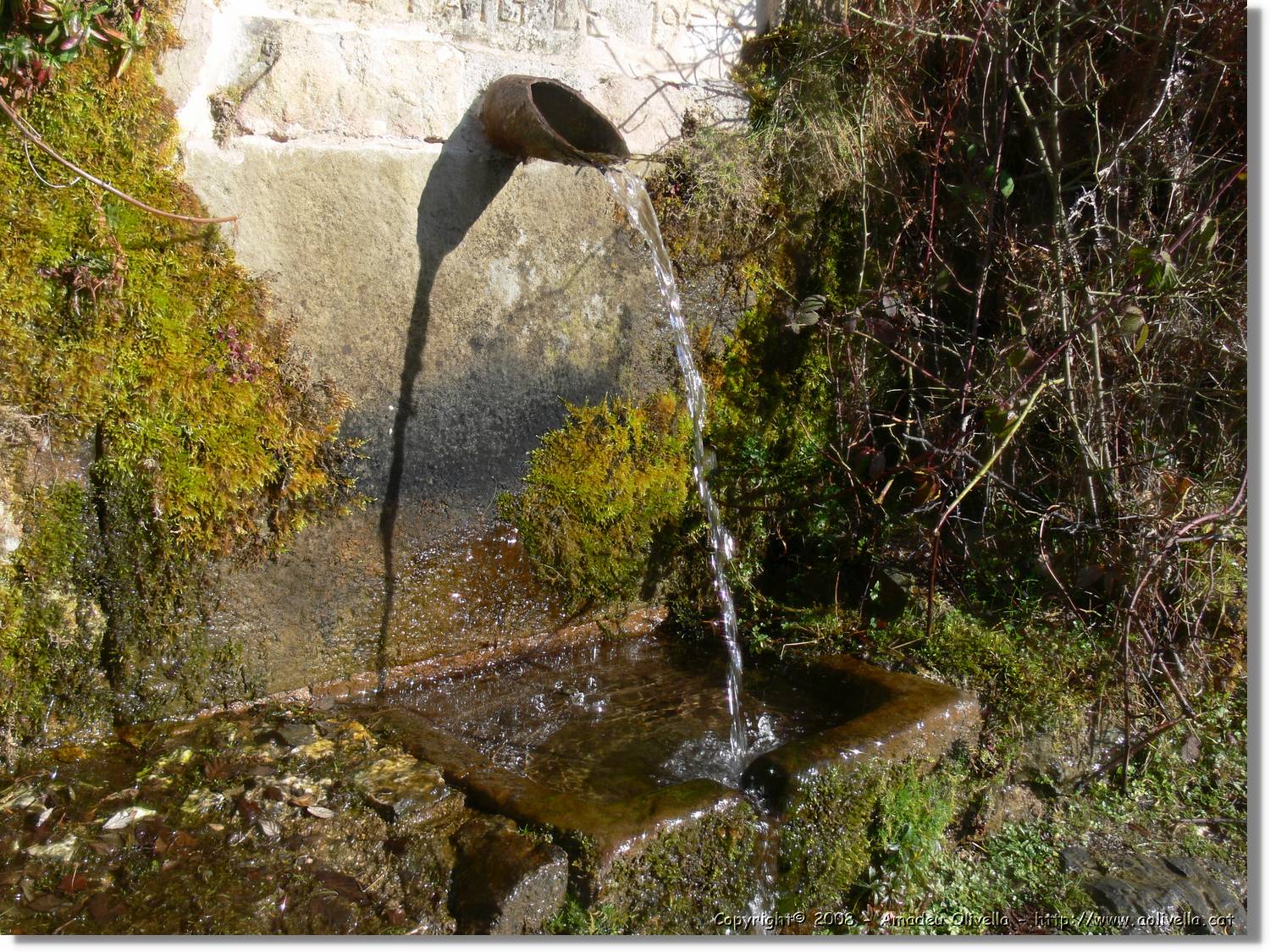 1Montseny_090.jpg