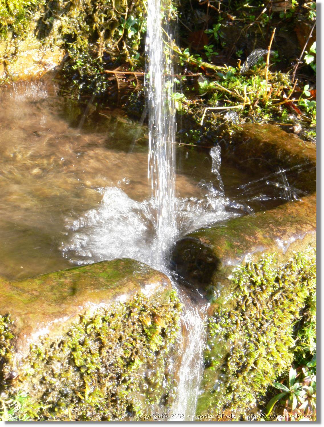 1Montseny_091.jpg