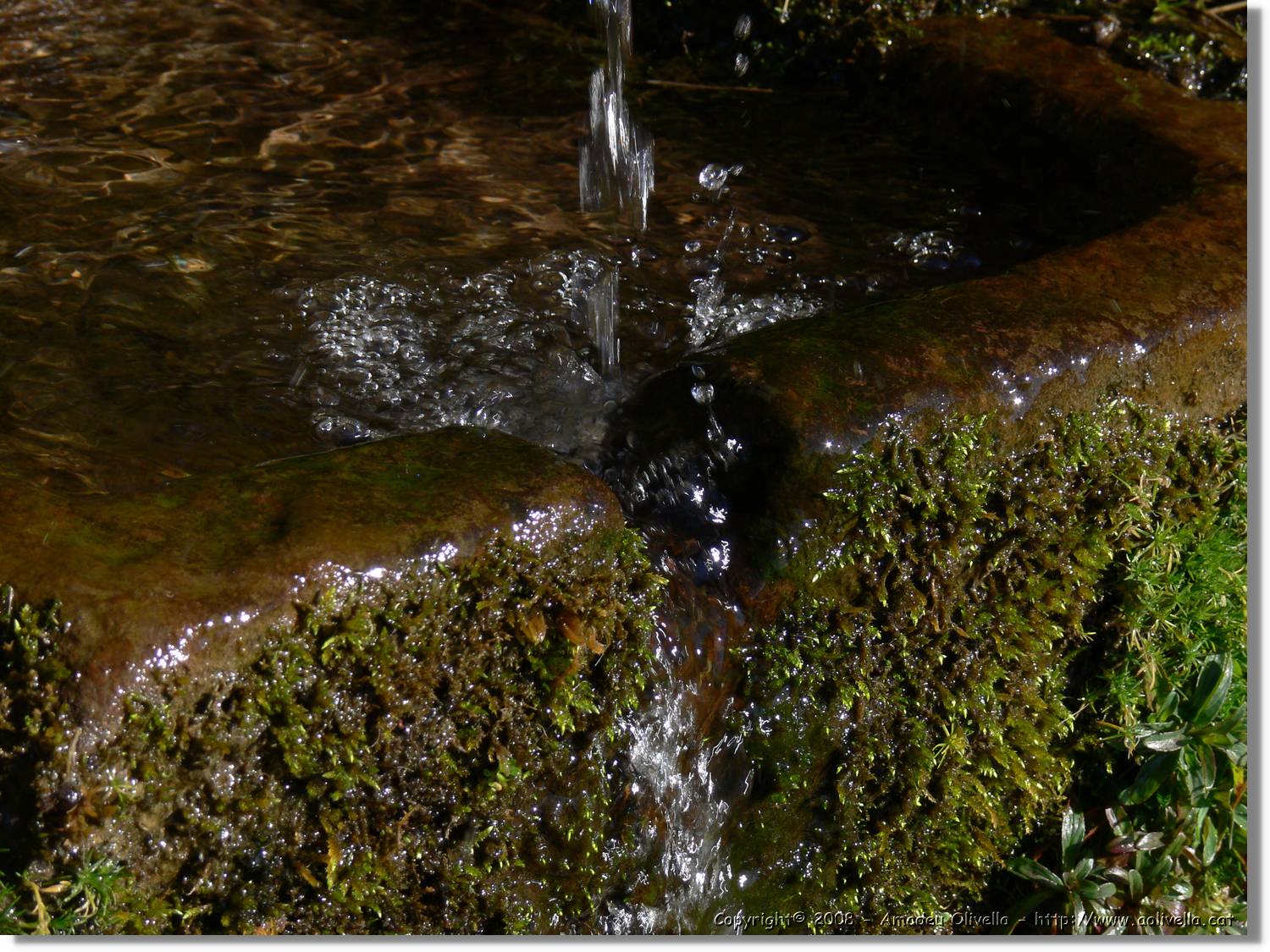 1Montseny_092.jpg
