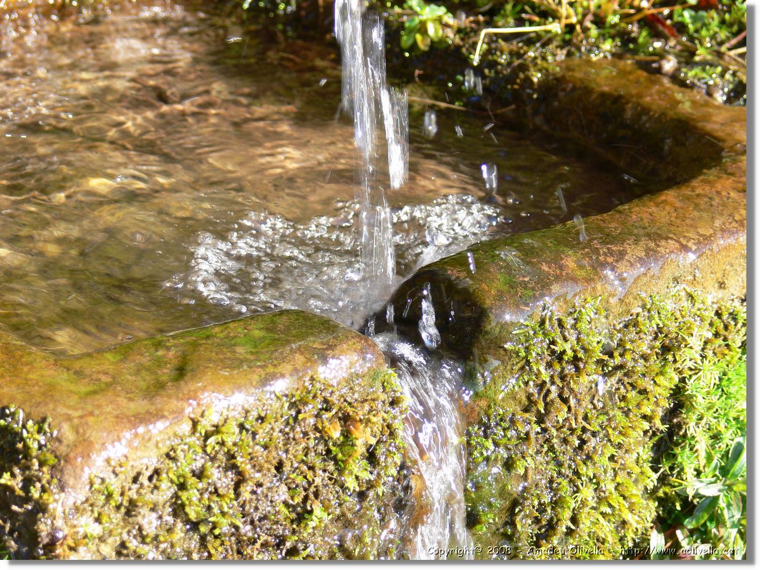 1Montseny_093.jpg