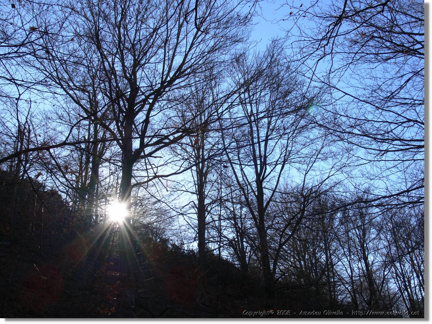1Montseny_094.jpg