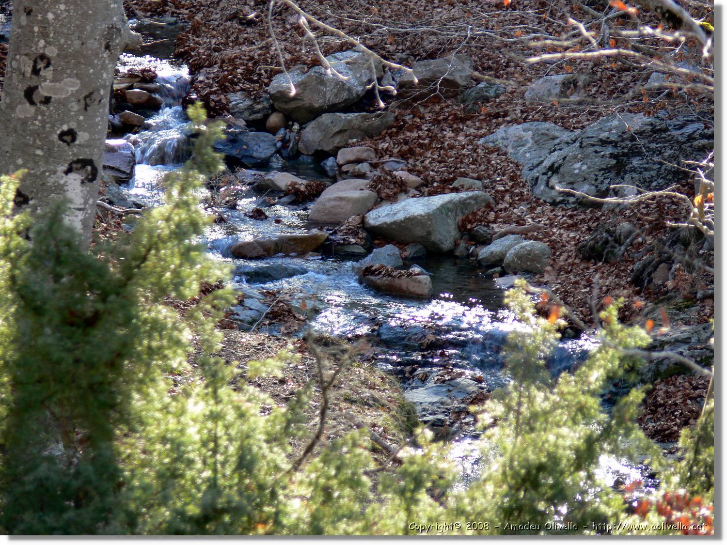 1Montseny_095.jpg