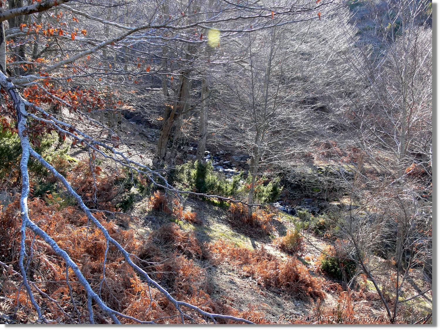 1Montseny_096.jpg