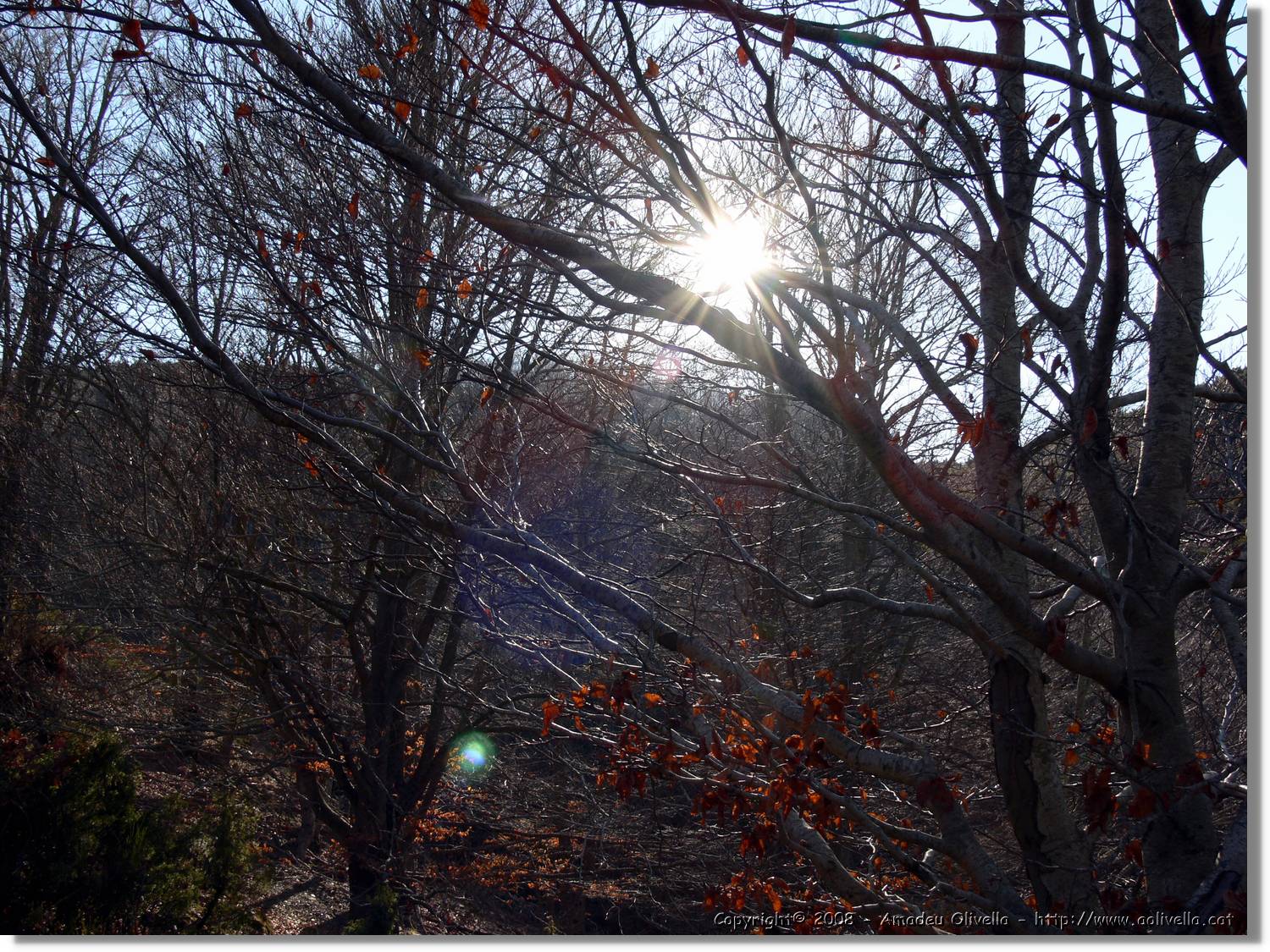 1Montseny_097.jpg