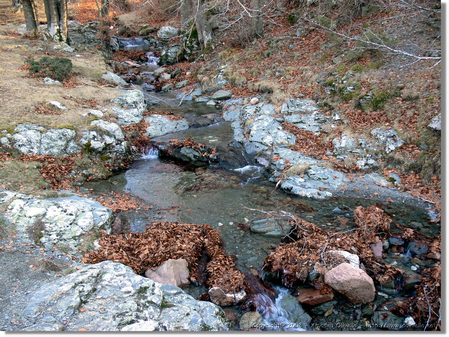 1Montseny_098.jpg