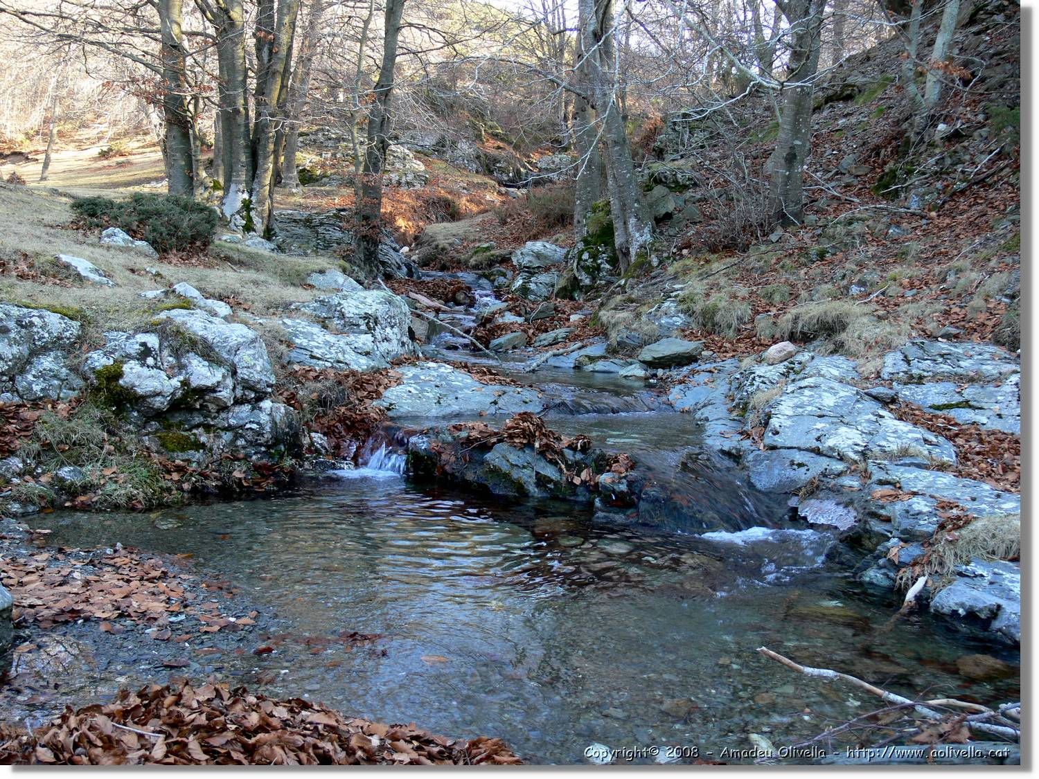 1Montseny_099.jpg