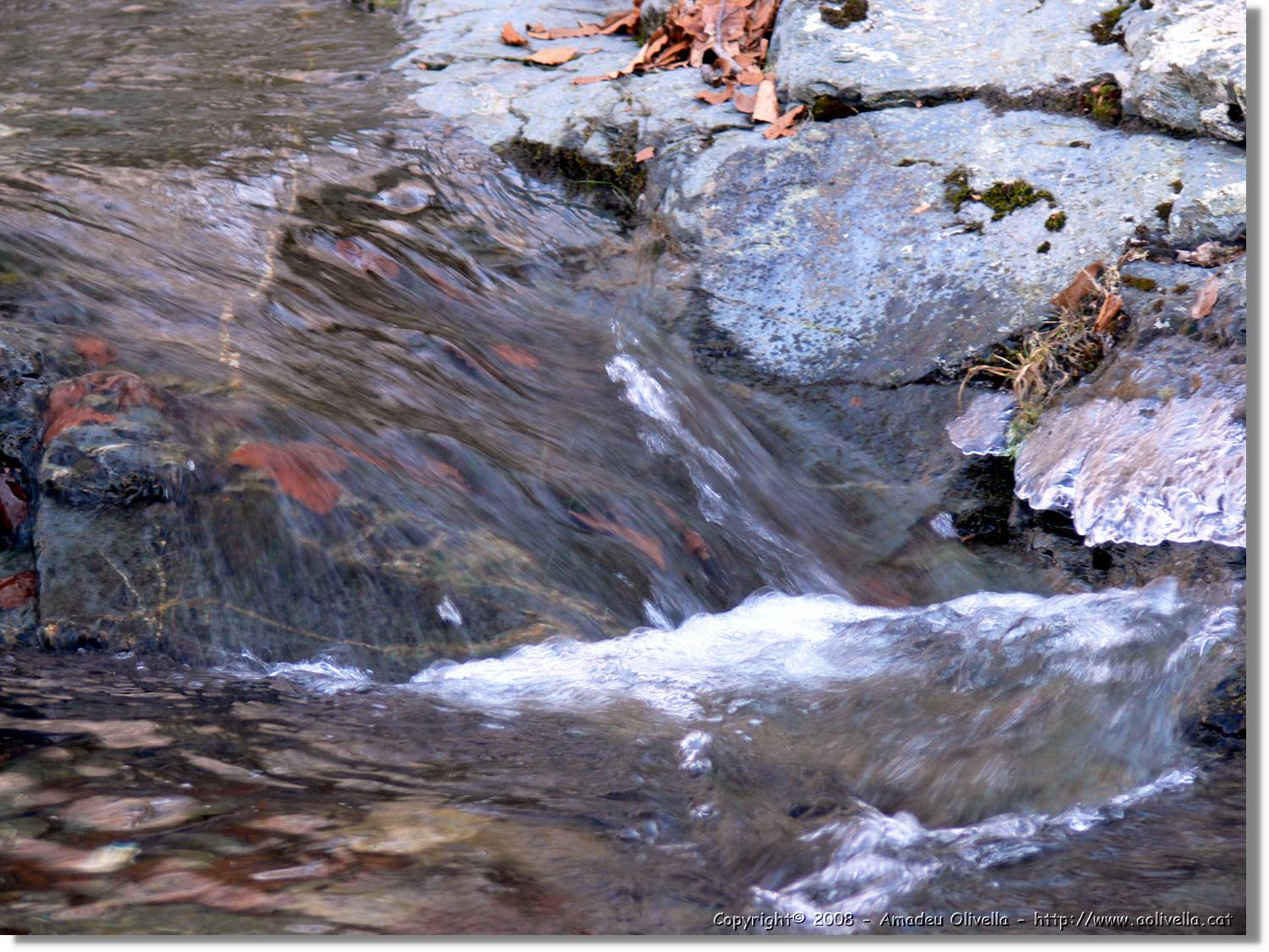 1Montseny_100.jpg