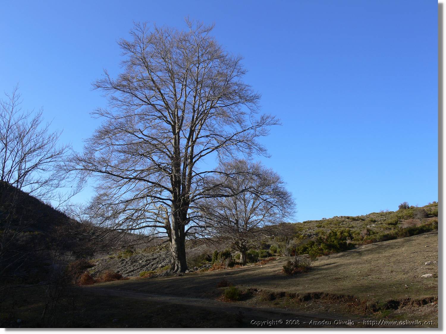 1Montseny_103.jpg