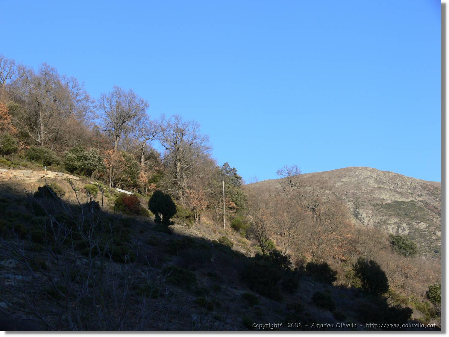1Montseny_110.jpg
