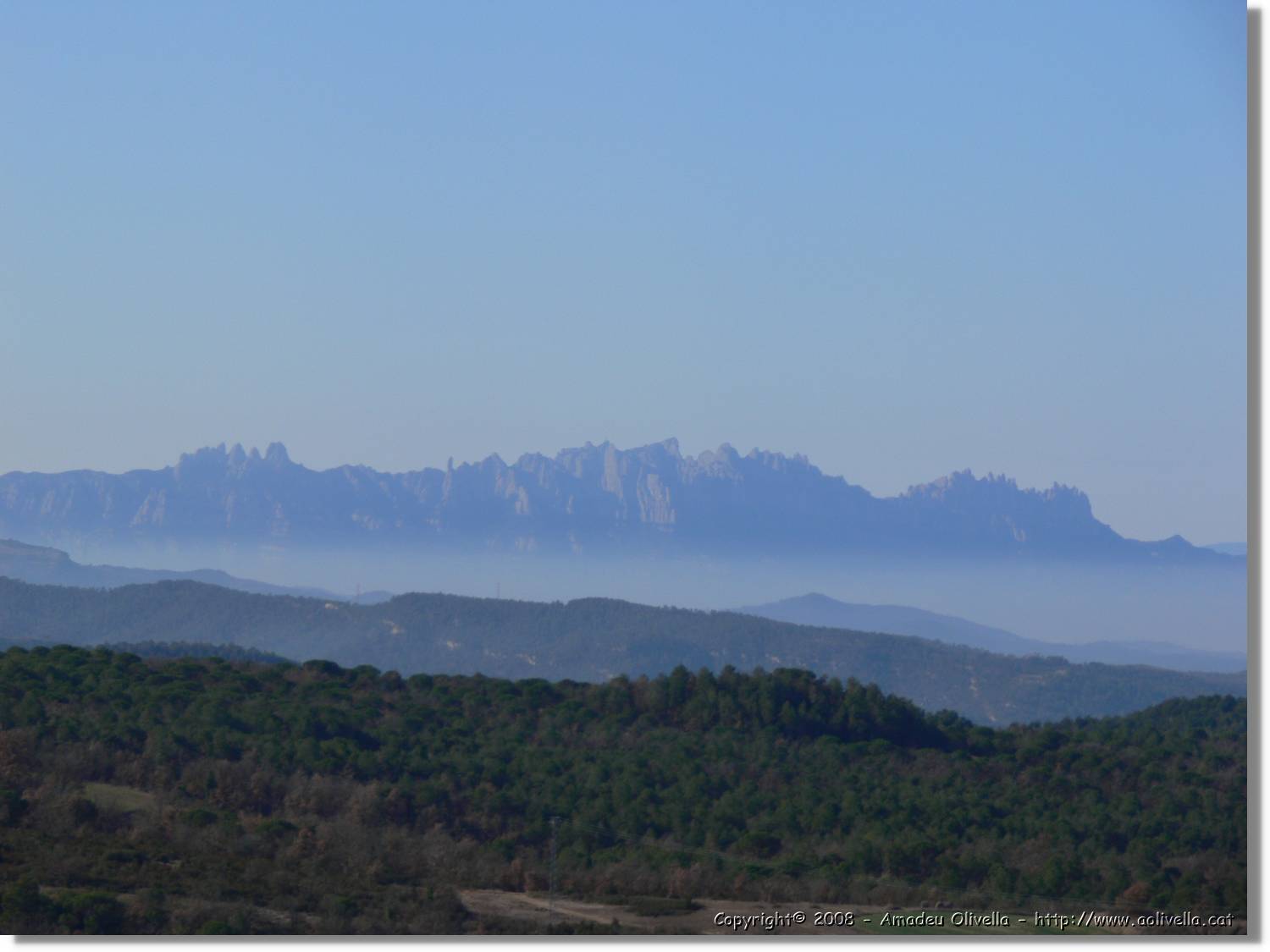 2_Moia_122.jpg
