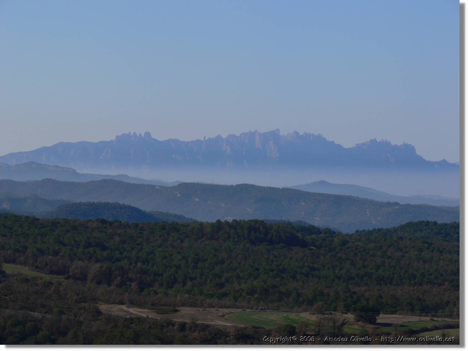 2_Moia_129.jpg