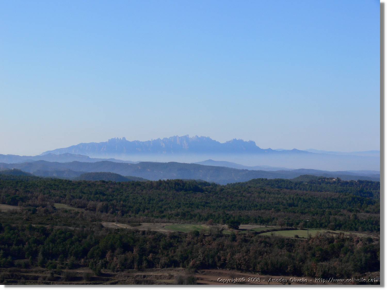 2_Moia_136.jpg
