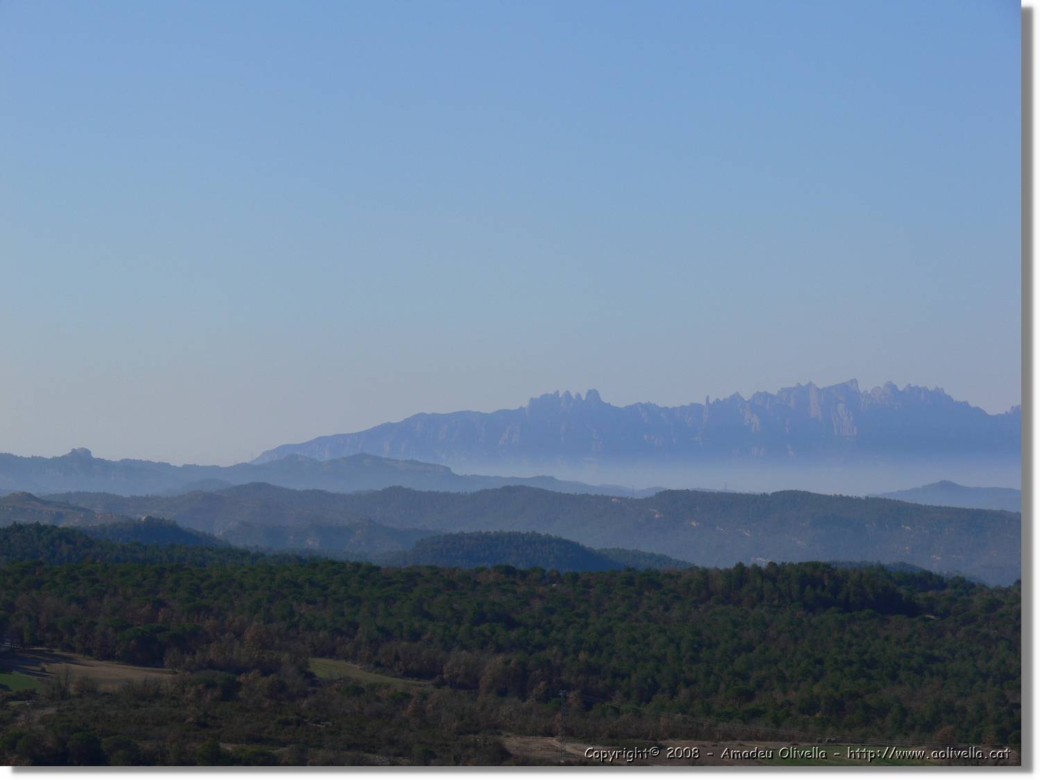 2_Moia_140.jpg
