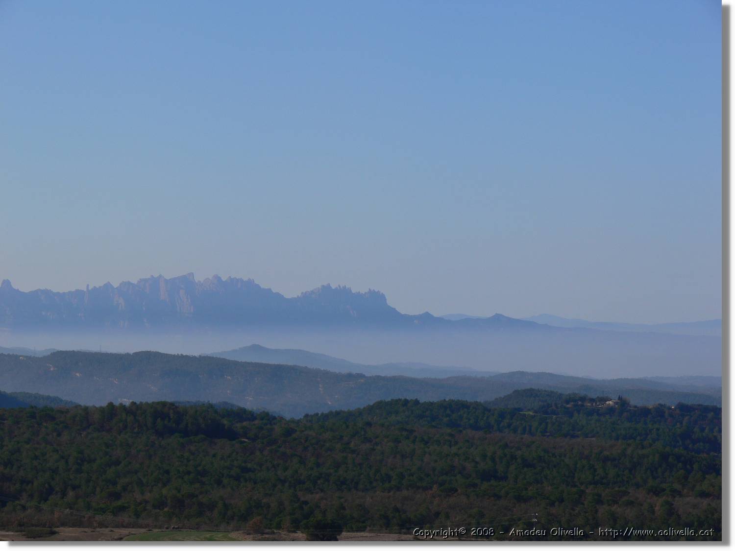 2_Moia_141.jpg