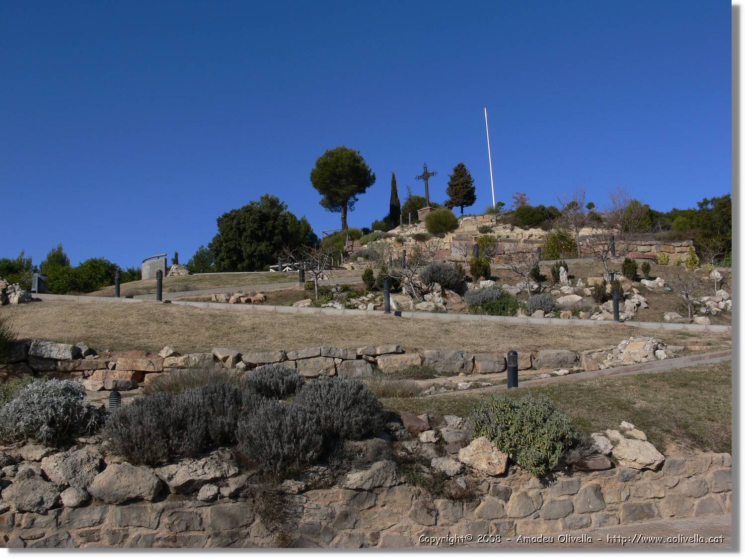 2_Moia_144.jpg