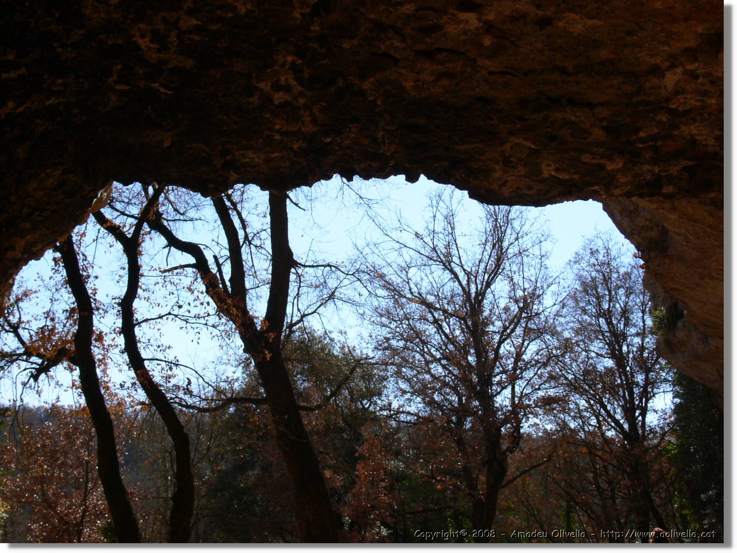 2_Moia_146.jpg