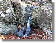 1Montseny_105.jpg