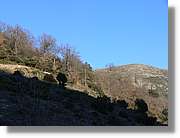 1Montseny_110.jpg