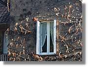1Montseny_115.jpg