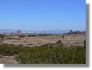 2_Moia_123.jpg