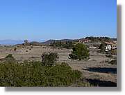 2_Moia_124.jpg