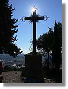 2_Moia_128.jpg