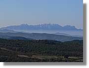2_Moia_129.jpg