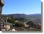 2_Moia_130.jpg