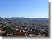 2_Moia_131.jpg