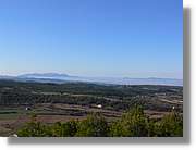 2_Moia_135.jpg