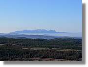2_Moia_136.jpg