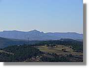 2_Moia_138.jpg