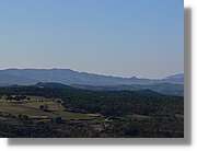 2_Moia_139.jpg