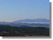 2_Moia_140.jpg