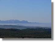 2_Moia_141.jpg