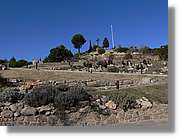 2_Moia_144.jpg