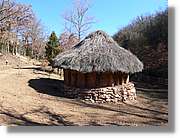 2_Moia_148.jpg